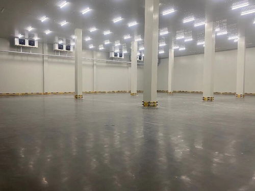 貨運物流中的信譽與專業(yè)服務 化工品、冷鏈整車與零擔運輸解析